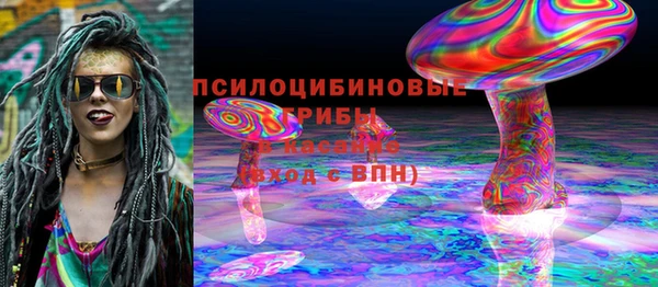ешки Алексин