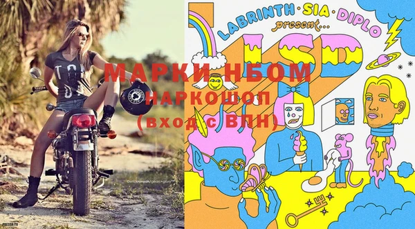 хмурый Рославль