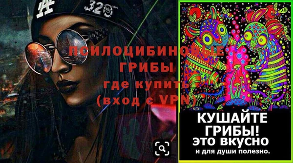 молекула духа Алзамай