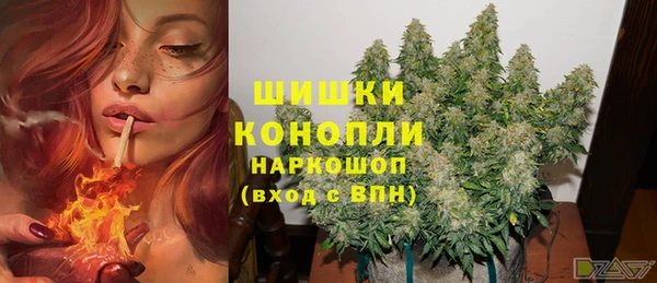 ешки Алексин