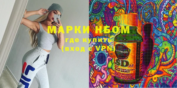 ешки Алексин