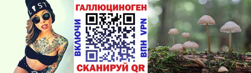 Псилоцибиновые грибы Psilocybine cubensis  Рошаль 