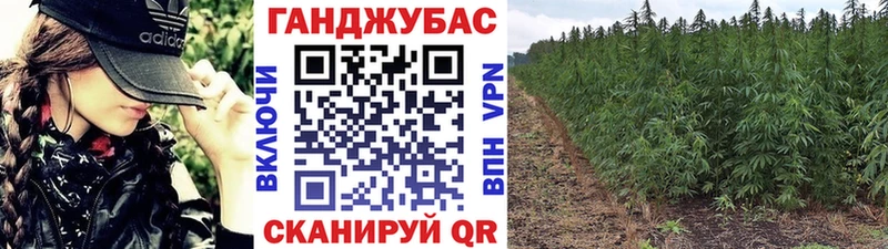 наркошоп  Рошаль  Каннабис OG Kush 